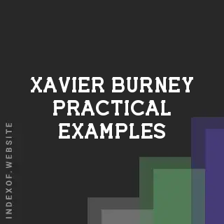 Xavier Burney Practical Examples | Indexof