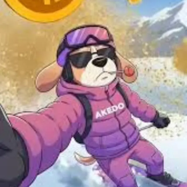 Lite Photo Akedo NFT - Indexof