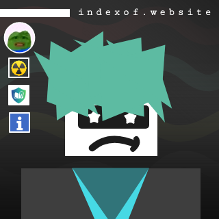 Does TikTok delete “Inactive Accounts“? (FAQ Avatar)