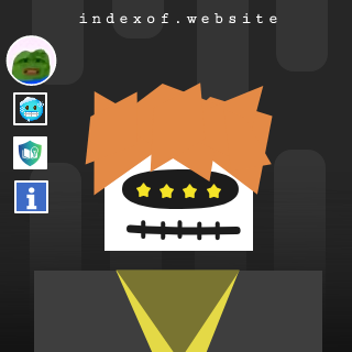Bo van de Steeg Profile Picture