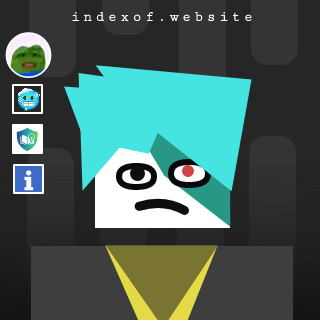 Irma Alvarado Profile Picture
