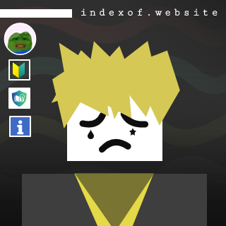 Lars de Ridder Profile Picture
