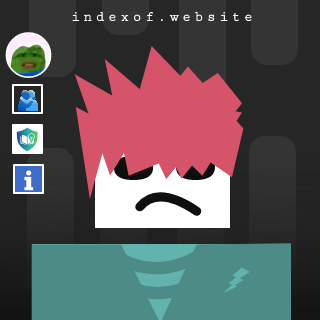 Niels Hendriks Profile Picture
