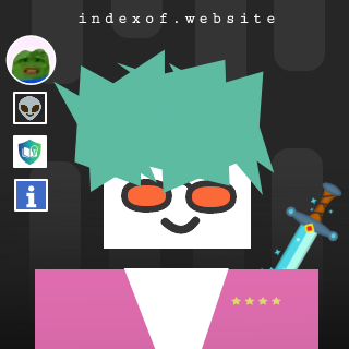 Niels van der Laan Profile Picture