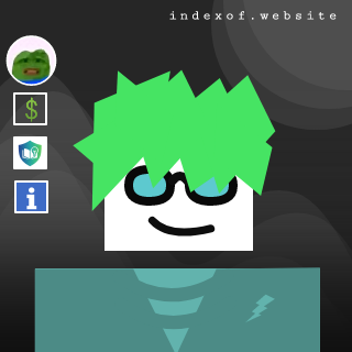 Twan van der Meer Profile Picture